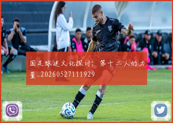 国足球迷文化探讨：第十二人的力量_20260527111929